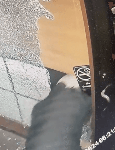 En los videos de vigilancia que obtuvo Univision 45, se puede ver que el 6 de noviembre del 2024, a eso de las 4am,
<b>tres sospechosos ingresan arrastrándose a Bollo Woodfired Pizza, ubicado en 2202 W Alabama St A.</b>
<br>