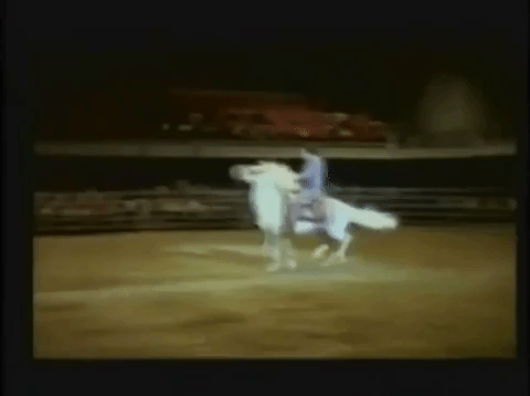 Los caballos de la familia Aguilar eran un ingrediente esencial en los jaripeos que presentaron como embajadores de México para el mundo.