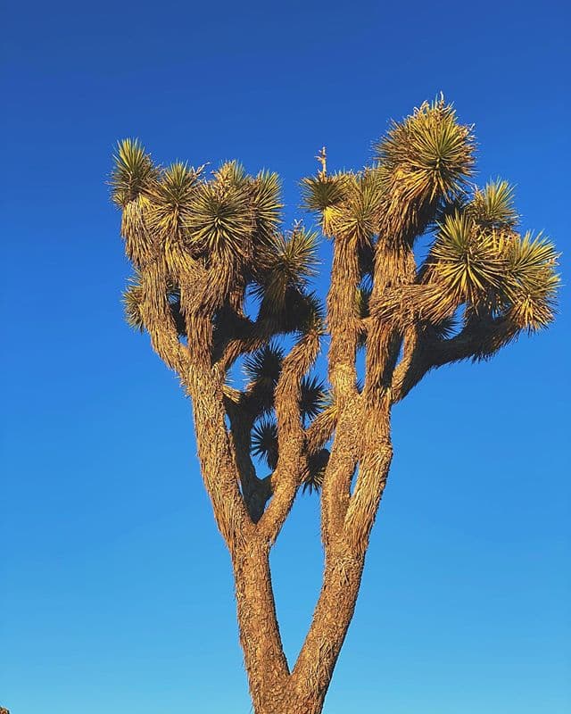 Lovato también reconoció cuánto le "encanta ir de aventuras" con su actual pareja.