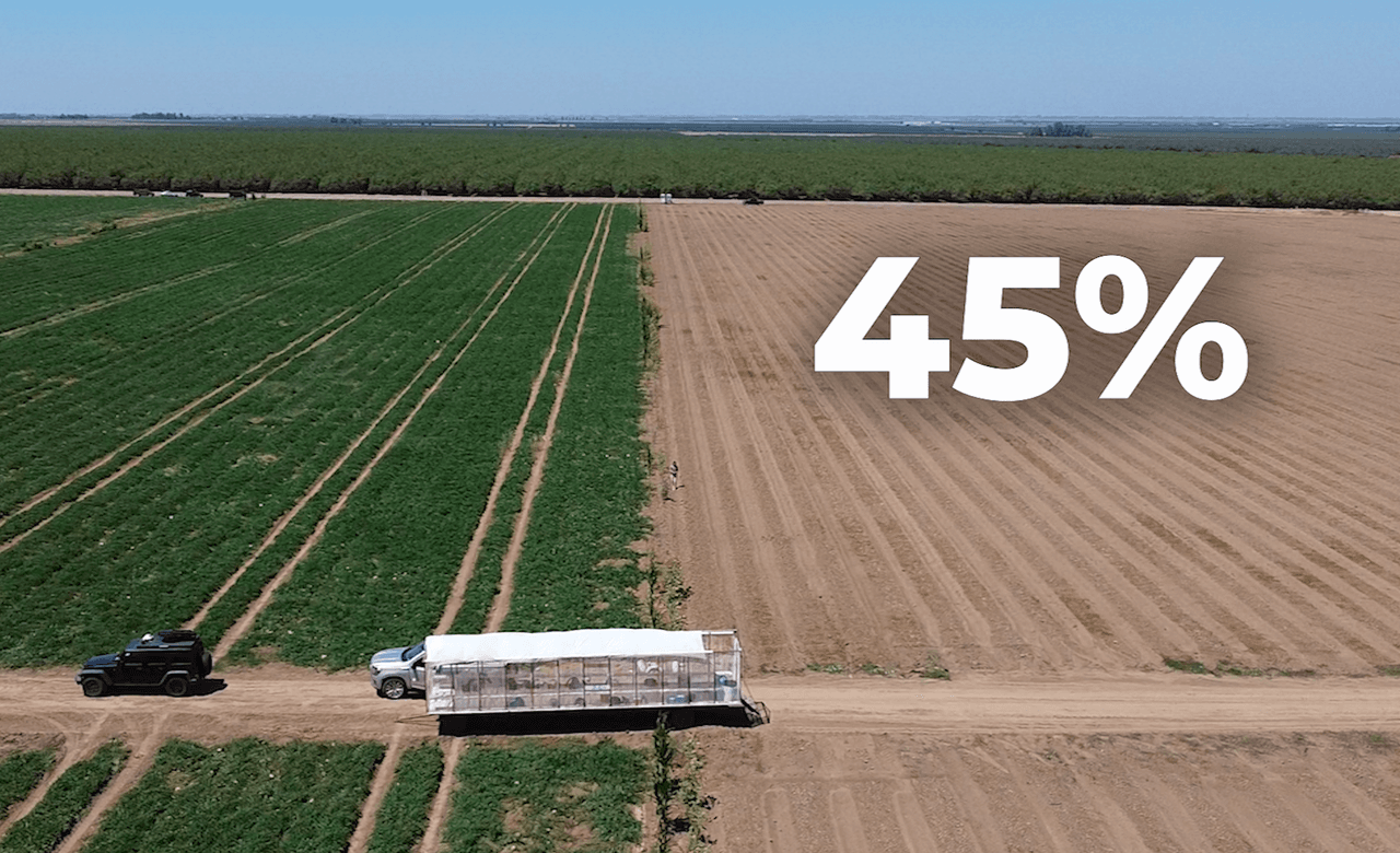 Del Bosque Farms ha perdido alrededor de 45% de sus cultivos debido a la sequía