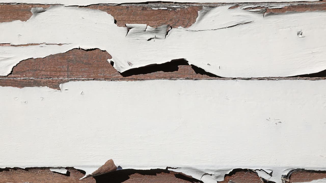 <b>Pintura descascarada y acabados que fallan: </b>
<br>👉🏻 Las fachadas pintadas
<b>se agrietan, burbujean o pelan cuando están expuestas al sol directo</b> por mucho tiempo. Además de lo estético, esto
<b>expone la superficie a humedad, moho o plagas.</b>
<br>
<br>🎨 La exposición prolongada al calor y a
<b>los rayos UV acelera el deterioro de pinturas y selladores.</b>
<br>
<br>
<b>💡 ¿Qué hacer? </b>
<br>Usa pintura especial para exteriores y resistente a los rayos UV.
<br>Prefiere colores claros, que absorben menos calor.
<br>Revisa muros exteriores en busca de zonas con pintura cuarteada o levantada.