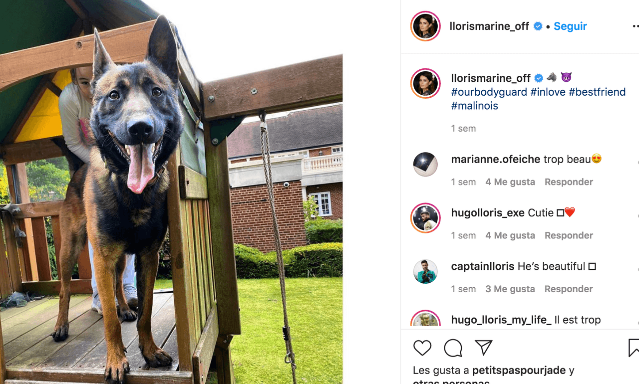 Hugo Lloris paga 17,000 euros por un perro para proteger su casa