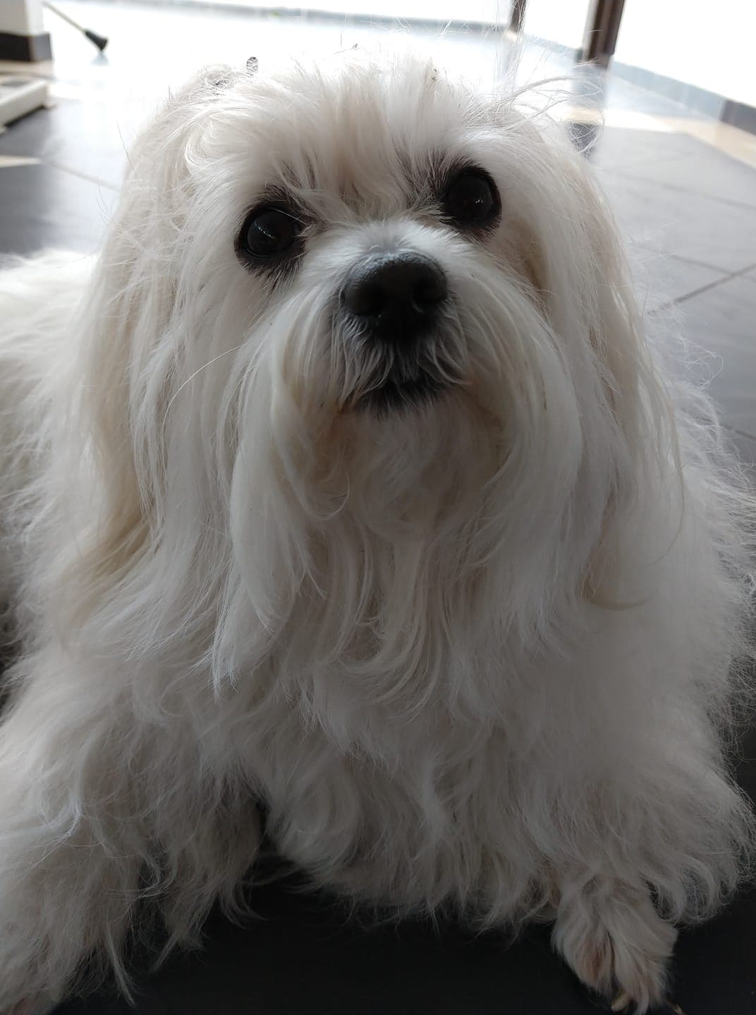 Zulma Garay muestra a su mascota Muñeca de 9 años.