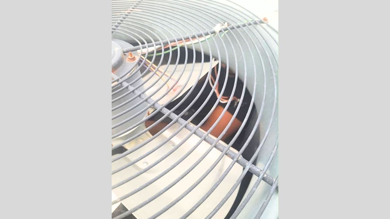 Los elementos del sheriff hicieron la parada de tráfico ya que buscaban narcóticos, pero con el apoyo de un oficial canino de la Patrulla Fronteriza, descubrieron que 5 personas viajaban escondidas dentro del cascarón del ventilador.