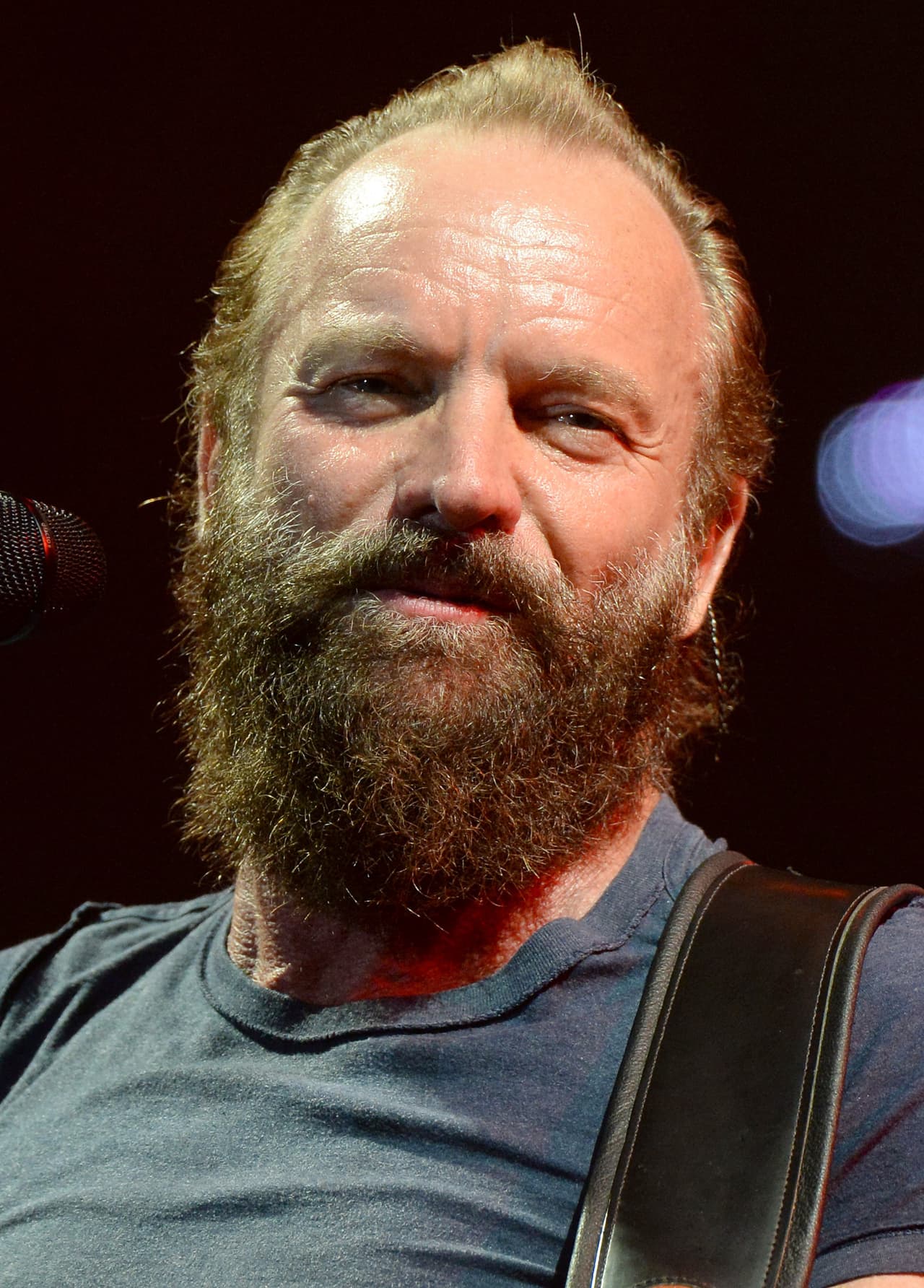 Hay quienes han decidido crear sus propias fundaciones ecologistas como es el caso de Sting, quien creó Rainforest Foundation.