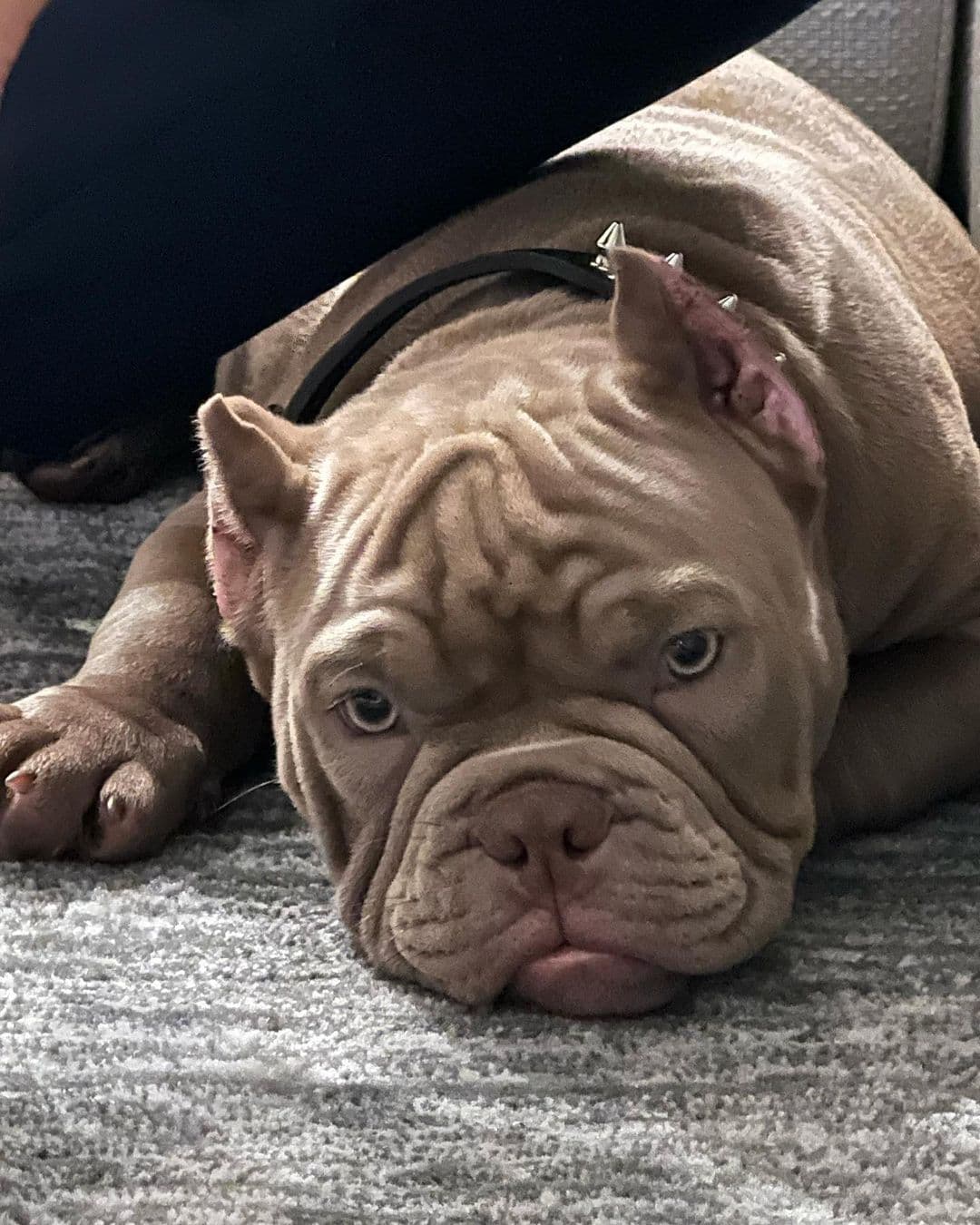 Aunque solo tiene dos fotografías publicadas, Azuul ya tiene poco más de 200 seguidores.