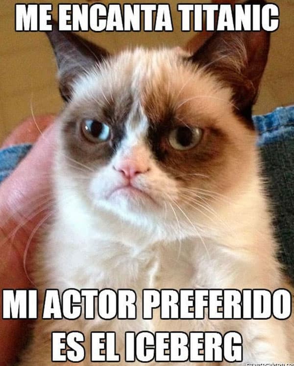 El
<i>grumpy cat</i> da su opinión de la cinta.