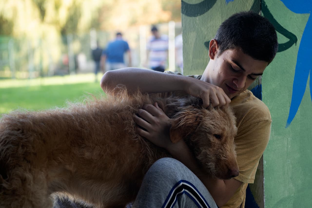 Películas de Netflix