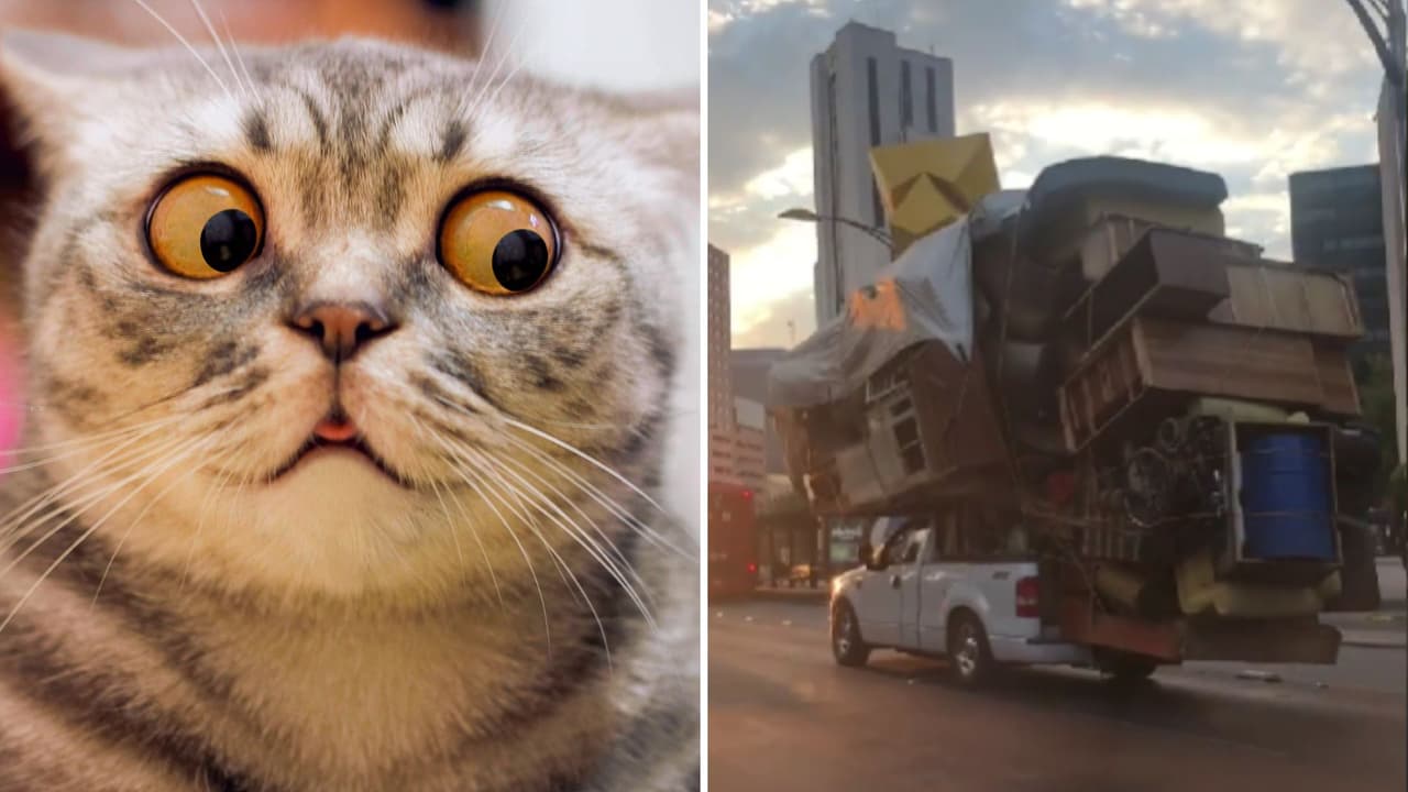 Mudanza extrema: todas sus cosas cupieron en una camioneta y el video se volvió viral