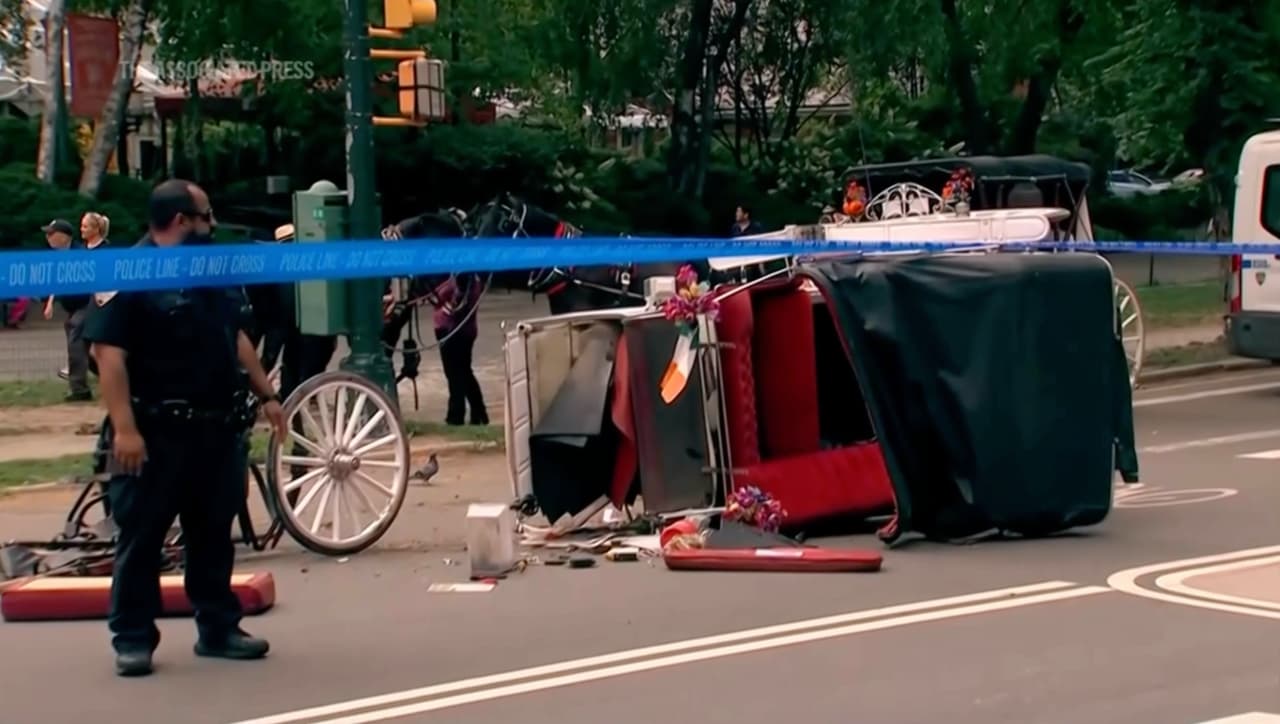 “Gritaba ‘¡Mamá!’”: padre relata tragedia en Central Park y revive debate sobre carruajes