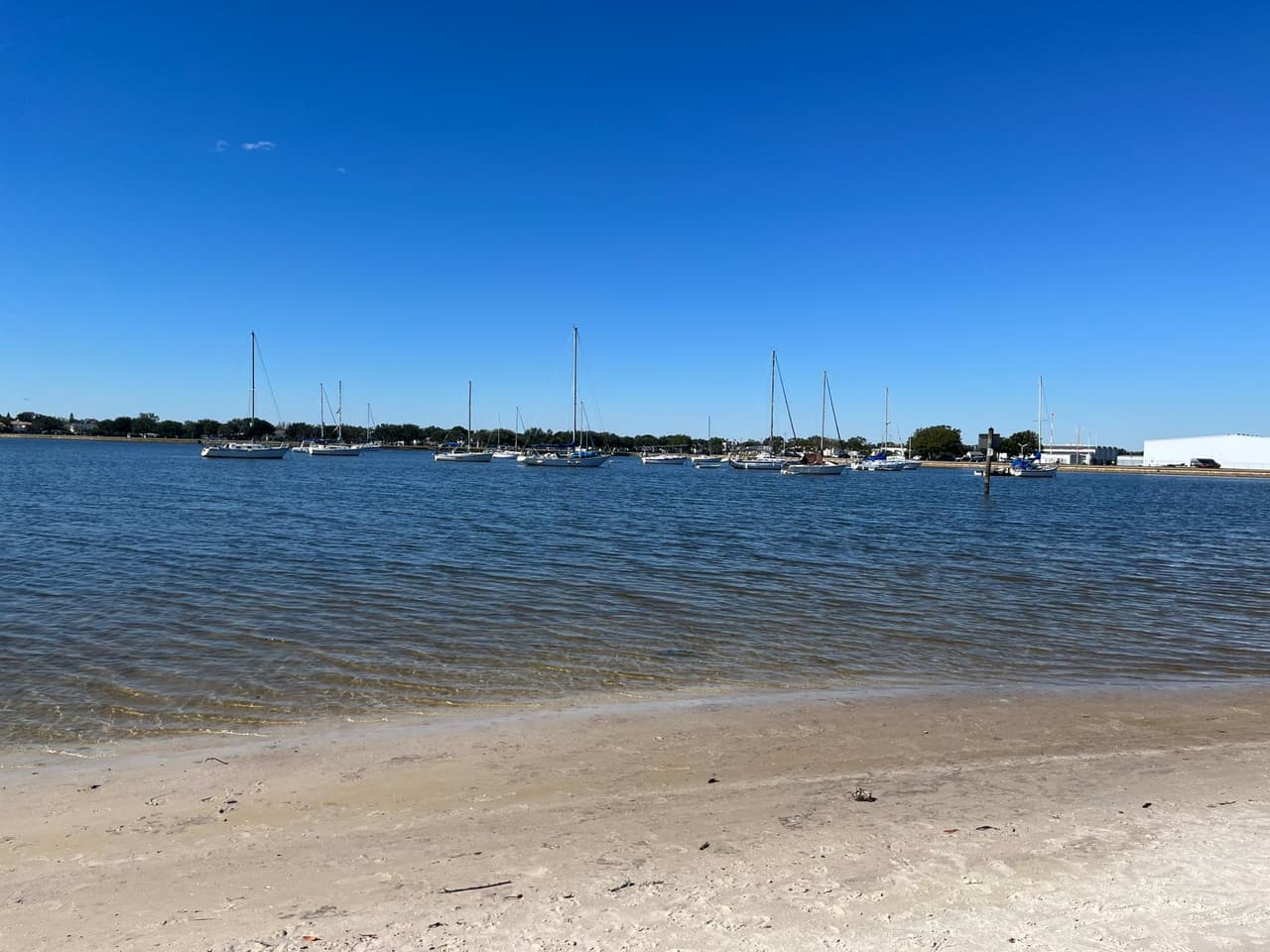 El Departamento de Salud de Florida en el condado Hillsborough emitió una advertencia de no nadar en Davis Island Beach.