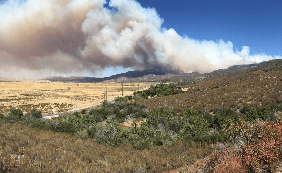 la combinación de los vientos, las altas temperaturas y las condiciones áridas del terreno han impulsado el rápido avance de las llamas por el bosque.