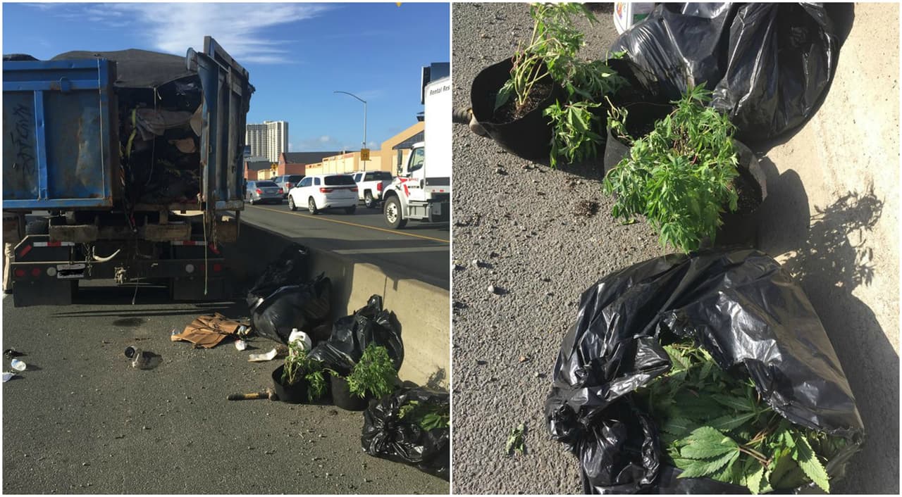 Patrulla de Caminos le dedica poema a conductor que dejó rastro de marihuana en una carretera de Oakland