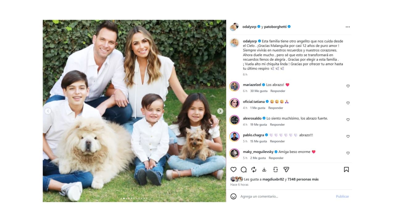 Así despidió Odalys Ramírez a su querida mascota.