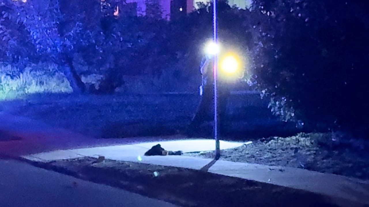 Joven es herido a balazos mientras convivía en una fiesta en el centro de San Antonio
