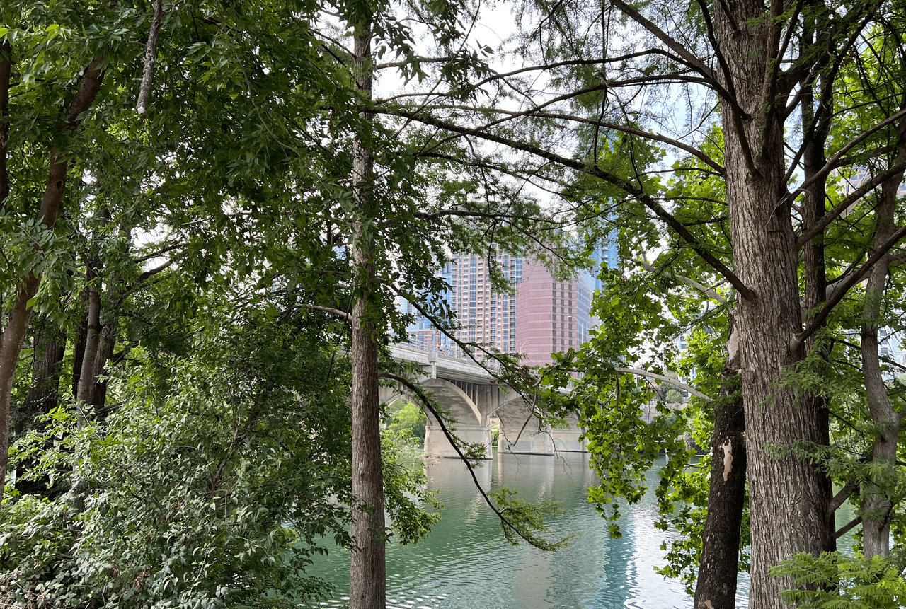 Una renovación en 1980 transformó el puente de Congress Avenue en una cueva ideal para murciélagos.