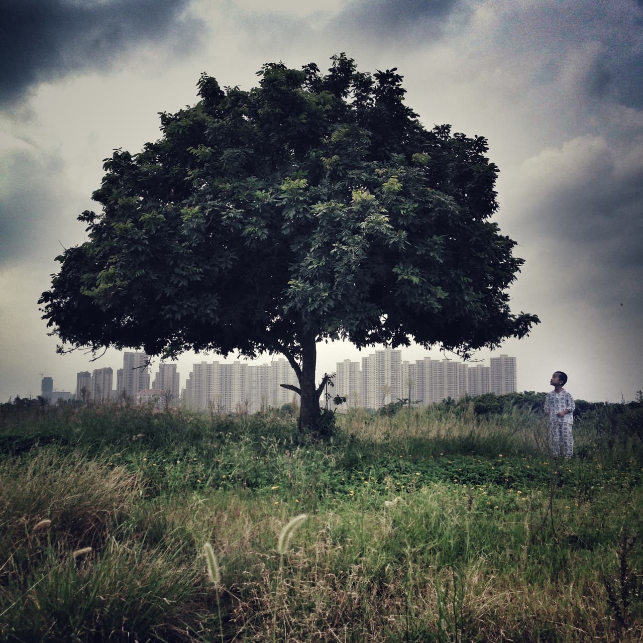 El tercer lugar de la categoría Naturaleza fue para Lei Yuting, de Fujian, China.