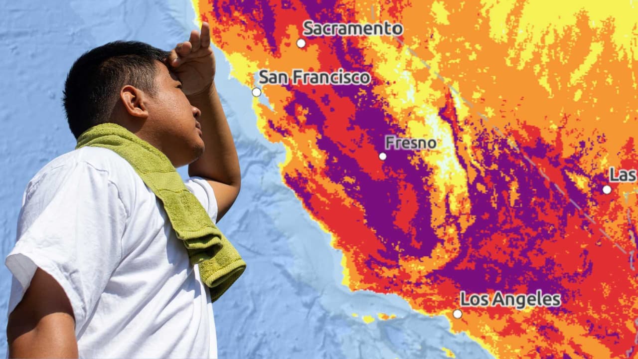 Calor excesivo se avecina y lanzan aviso y advertencia: anticipan riesgo de incendios en la Bahía