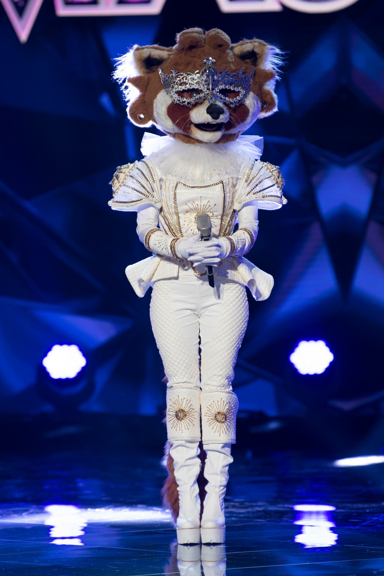 Los investigadores decidieron salvar a Mapache.