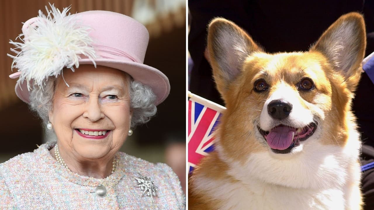 La reina Isabel es tan amante de los perros que lanzó un producto especial para lomitos