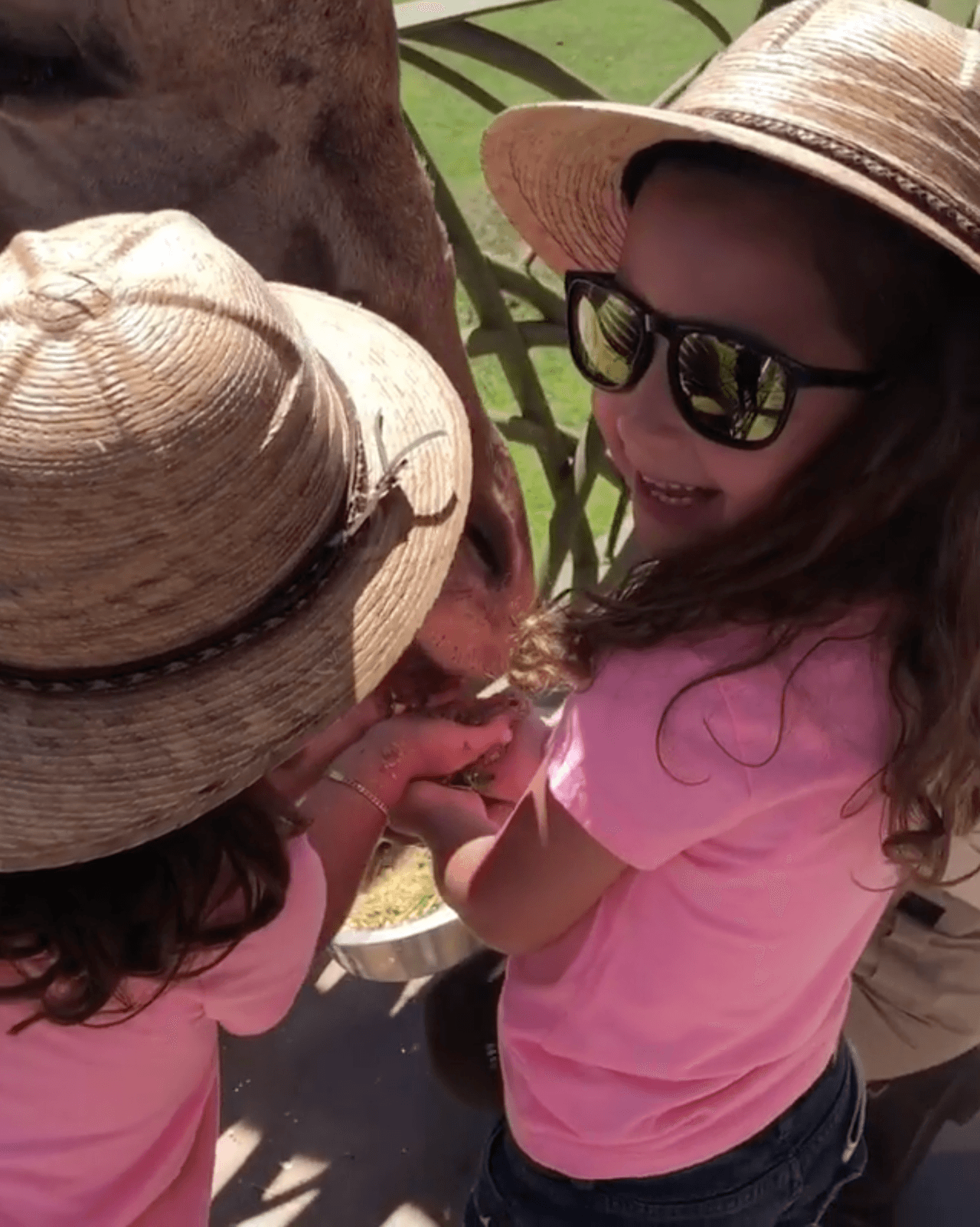 Una tierna imagen de las pequeñas aventureras, quienes han aprendido de sus padres que el miedo no existe y por tal motivo, a pesar de su corta edad, continuamente las vemos participando en osadas y divertidas actividades.