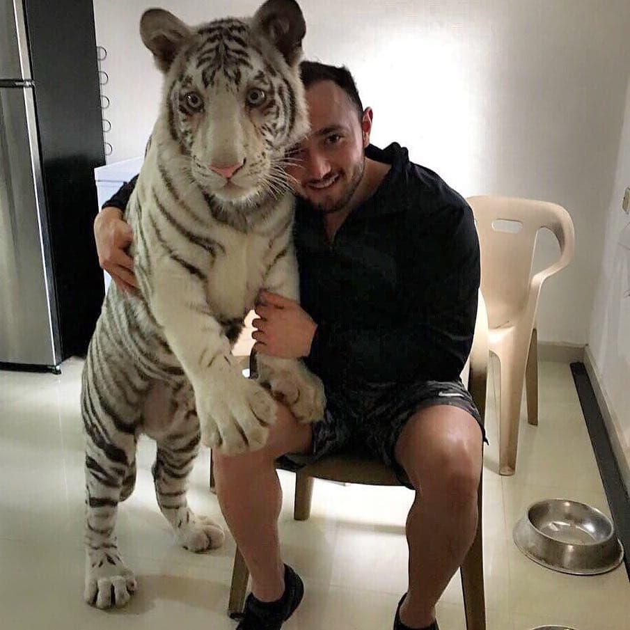 En un futuro cercano le gustaría conseguir pareja para el jaguar y el tigre y que de esta manera puedan reproducirse.