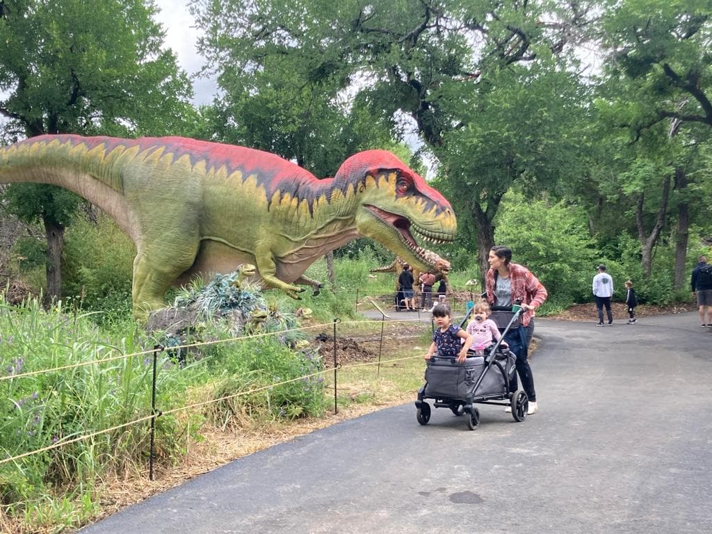 Según el Dallas Zoo esta exhibición
<b>Destination: Dinosaurs</b> es
<b>una de las más inmersivas y grandes del País </b>con figuras robotizadas y otras estáticas, que puedes recorrer en un solo día. 🦕