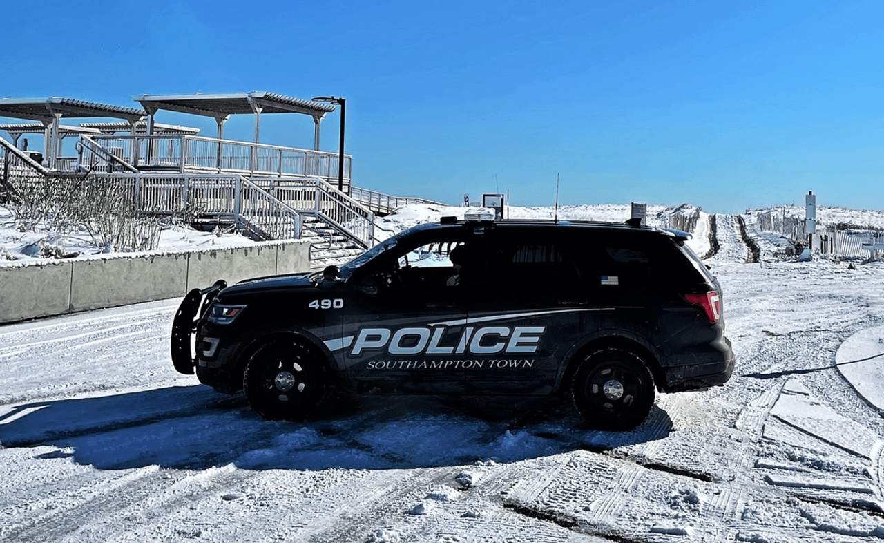 Felizmente, después de que la policía la salvara de ser atropellada, la foca fue liberada al río de donde salió.
