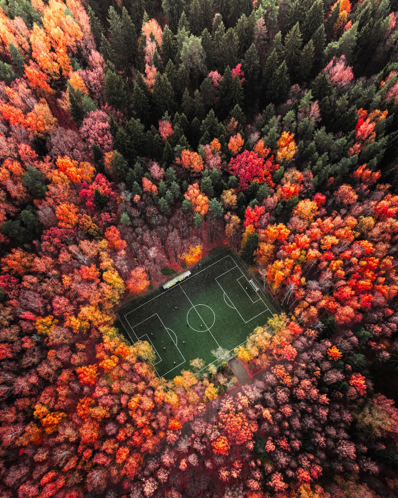 Vista aérea de un campo de fútbol entre un bosque otoñal en Moscú.
<br>