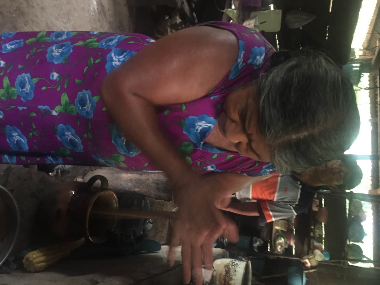 Univision 41 transmitirá una serie especial destinada a mostrar algunas de las contribuciones que la cultura maya le hizo al mundo. Anuar Revuelta nos acompañará en el recorrido que irá desde las ruinas de Palenque en Chiapas hasta la Selva Lacandona, para ver cómo viven los mayas de la actualidad.