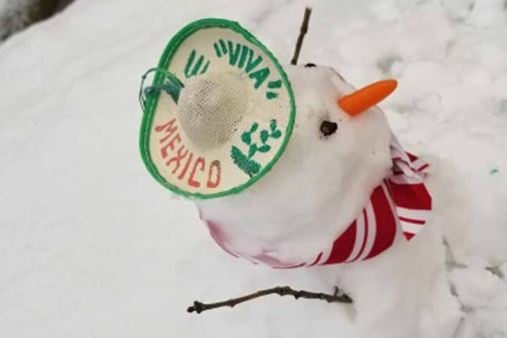 Muchos aprovecharon el raro evento para tomarse fotos, jugar con la nieve y construir el tradicional muñeco navideño.