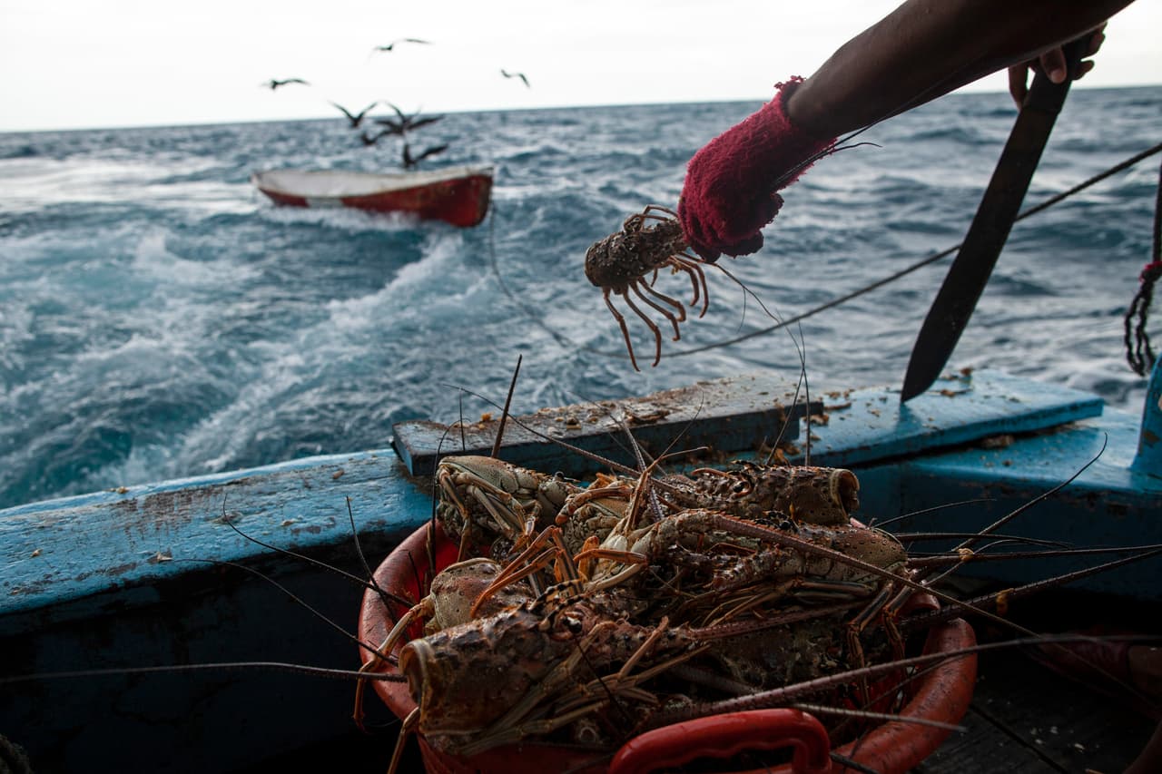 “Me atacó la presión en el fondo del agua”, dice Atiliano, un indígena hondureño misquito de 45 años y que por 25 se ha dedicado a la pesca por buceo, de langosta y pepino de mar.