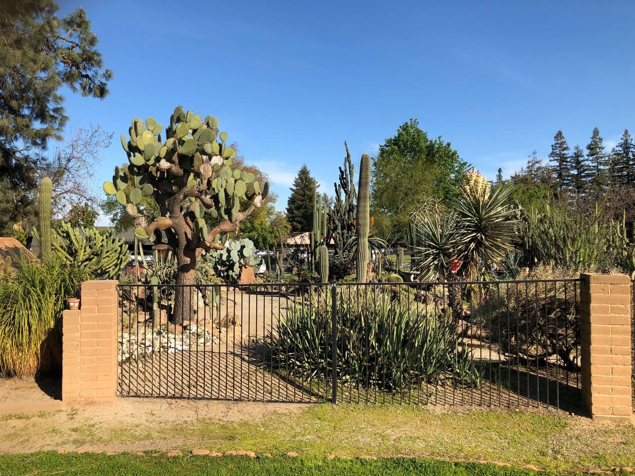 También cuenta con un jardín de cactus e incluye varias mesas de picnic, baños y muchas áreas verdes para ir en familia.
<br>