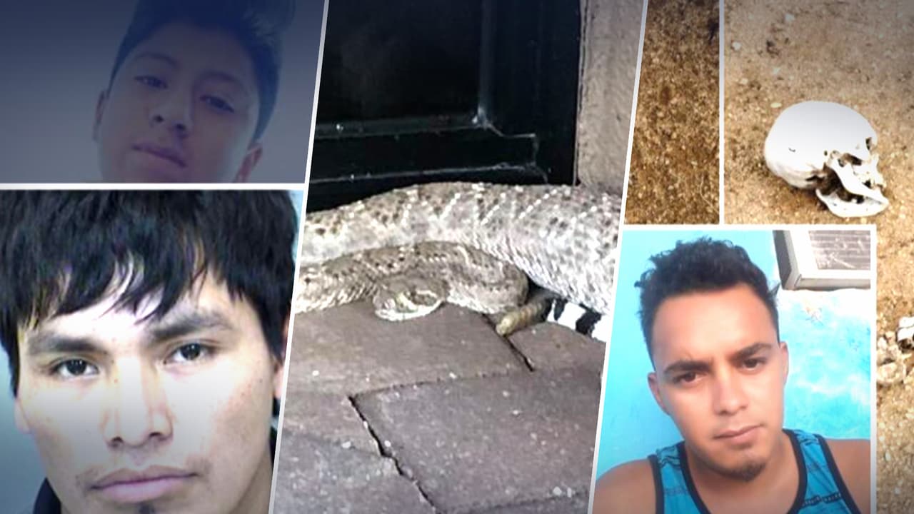 Estas son las 10 historias más visitadas en Univision Arizona en el 2022