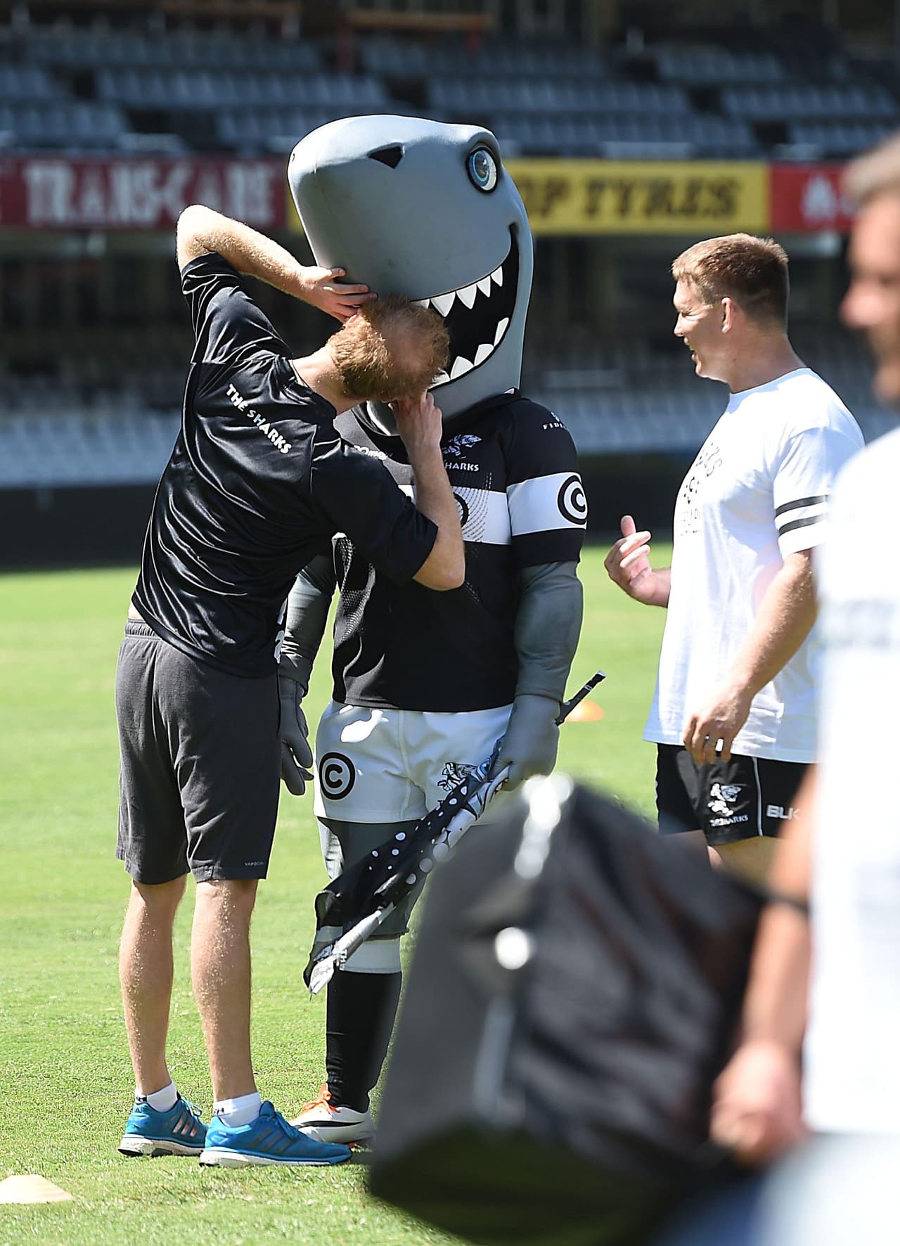 No vayas a romper el disfraz, Harry...