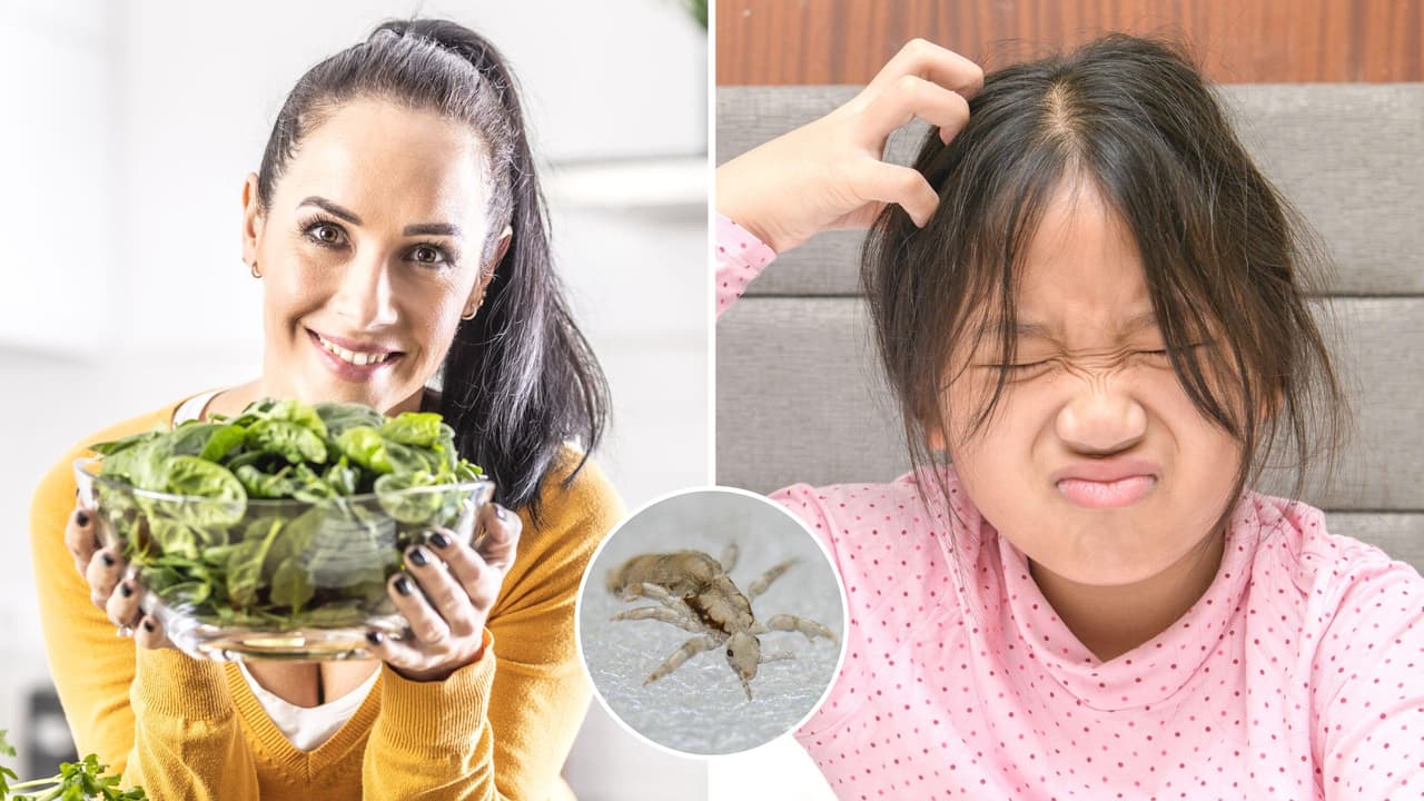 Mujer vegana se niega a quitarle los piojos a su hija porque "son seres sintientes": Internet reacciona con furia