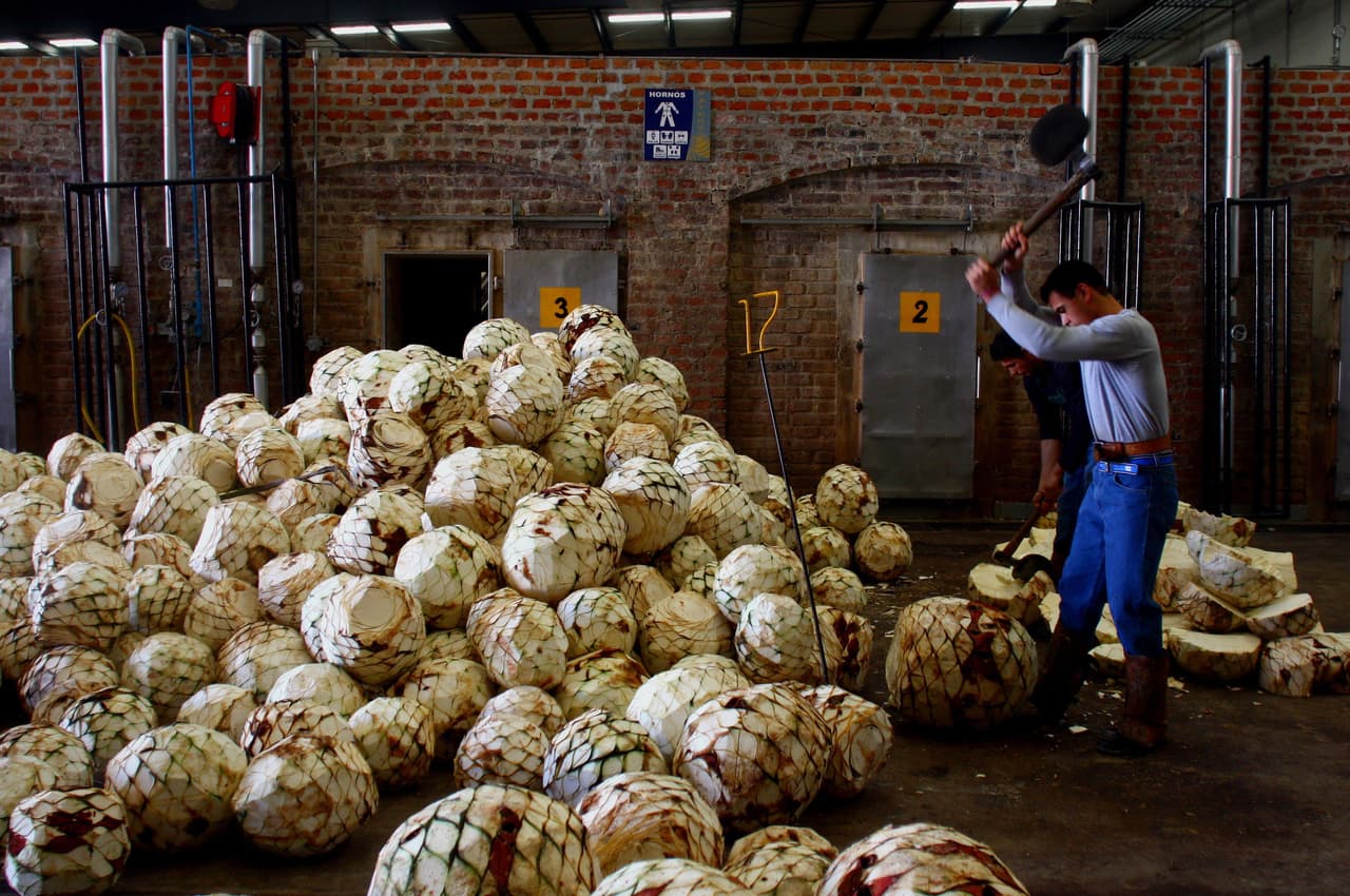 World faced with a tequila shortage