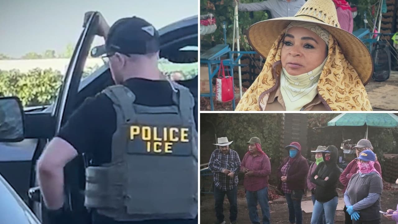 “Tienen temor... que los lleve migración”: Operativos de ICE impactan a campesinos del Valle Central de California