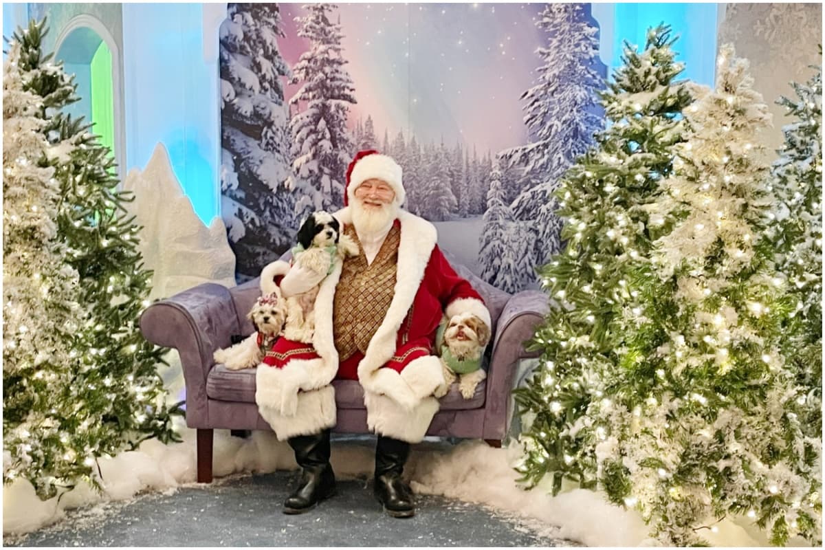 <b>Woodfield Mall</b> también decoró todo el lugar de tal forma que lo deben visitar si desean admirar luces, música y adornos. Santa Claus tiene un espacio para recibir a los niños que ya tengan lista su cartita para entregarla, además algunas mascotas también podrán tomarse su foto con Santa.