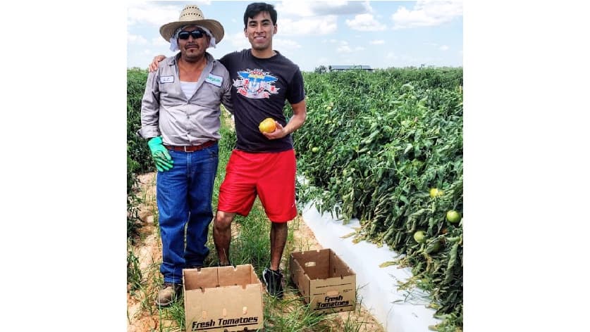 "Un día en la oficina con papá". Así es como describe Erick Martínez el momento en que acompañó a Loreto, su padre, a trabajar al campo de tomates.