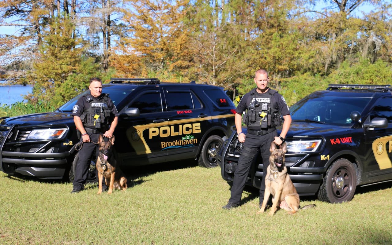 Brookhaven: La orden ejecutiva fue firmada este jueves por el alcalde de Brookhaven, John Ernst, que requiere el uso de máscaras faciales para todos los que ingresen a un establecimiento comercial en la ciudad para evitar la propagación del COVID-19.
<br>
<br>Cualquier persona que no cumpla con la orden está sujeta a una multa de no más de $ 500.