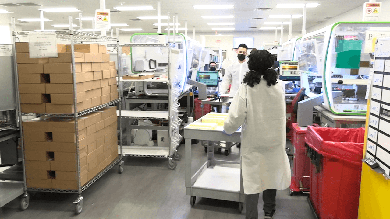 De acuerdo con información que proporcionó la compañía,
<b> la tasa de <a href="https://www.univision.com/local/arizona-ktvw/trabajadores-de-la-salud-en-arizona-exigen-medidas-mas-estrictas-contra-covid-19-video">exámenes positivos ha ido subiendo</a> desde el 26 de diciembre</b> hasta llegar a un 40.5% de resultados positivos.