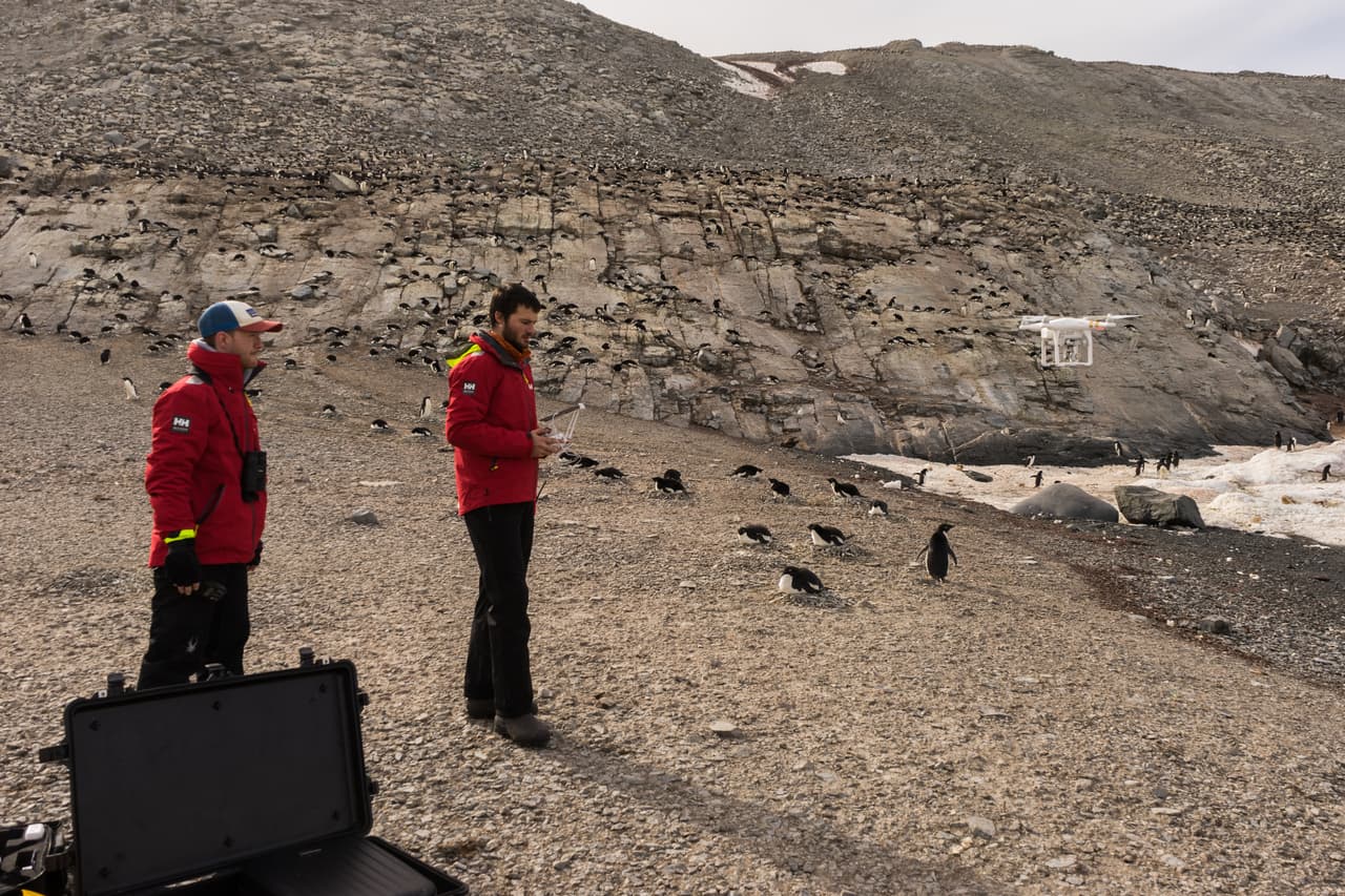 Según el autor principal de la investigación que divulga estos resultados en la revista
<a href="https://www.nature.com/articles/s41598-018-22313-w"><u>Scientific Reports,</u></a> el investigador Tom Hart de la Universidad de Oxford, Reino Unido, este hallazgo refuerza la urgencia de proteger esas aguas antárticas de dos grandes amenazas: la pesca desmedida y el cambio climático.
<br>