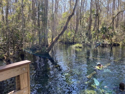 Un buzo muerto y otro desaparecido en Buford Springs; las autoridades ya investigan