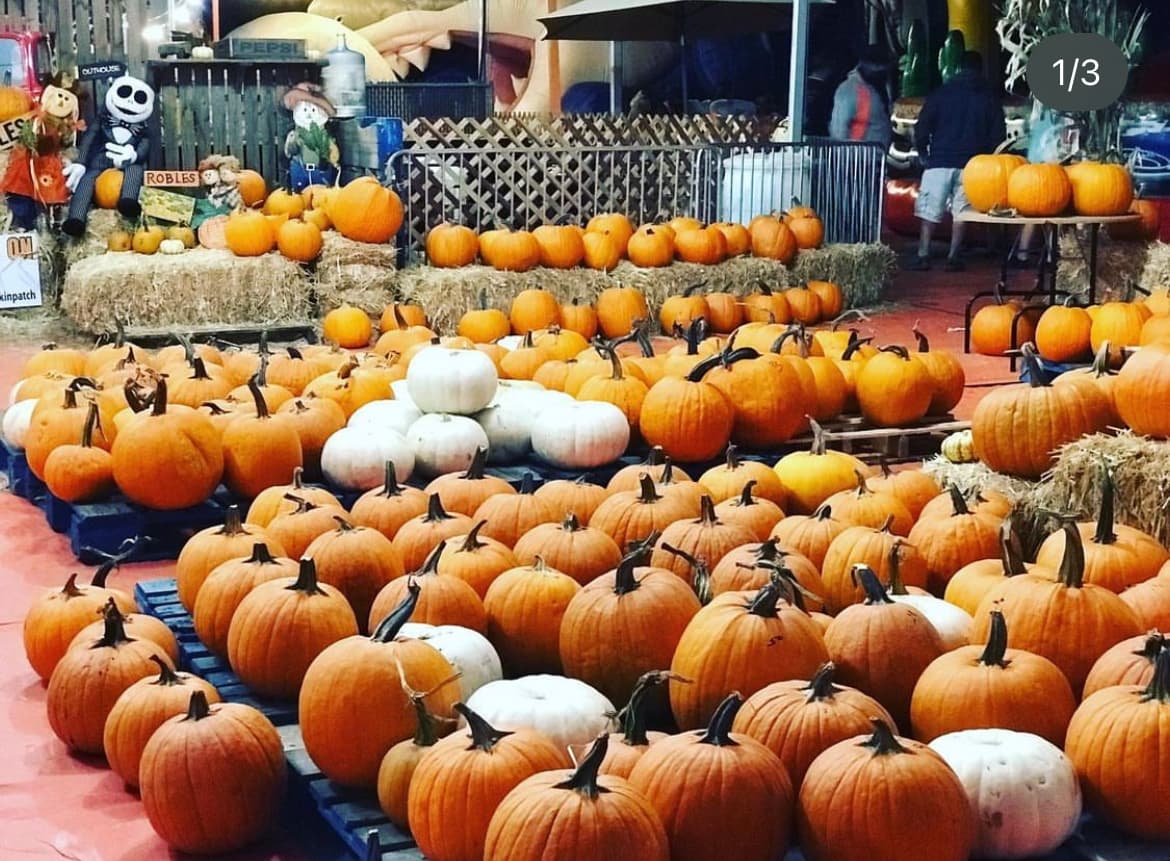<b>Robles Pumpkin Festival</b>
<br>Afuera de la Plaza West Covina, encontrarás un lugar festivo con animales, toboganes, juegos para disfrutar en familia, y una gran variedad de calabazas. Una pulsera con acceso a todas las actividades cuesta entre $25 a $30.
<br>
<br>
<b>Dónde: </b>
<a href="https://maps.apple.com/?q=34.07185%2C-117.92799">100 S. California Ave., West Covina, California 91790</a>
<br>
<b>Horario:</b> Hasta el 31 de octubre (De lunes a viernes: 1pm-9pm; Sábado y domingo: 10am-9pm)
<br>
<b>Costo:</b> Niños: $1; Adultos: $2