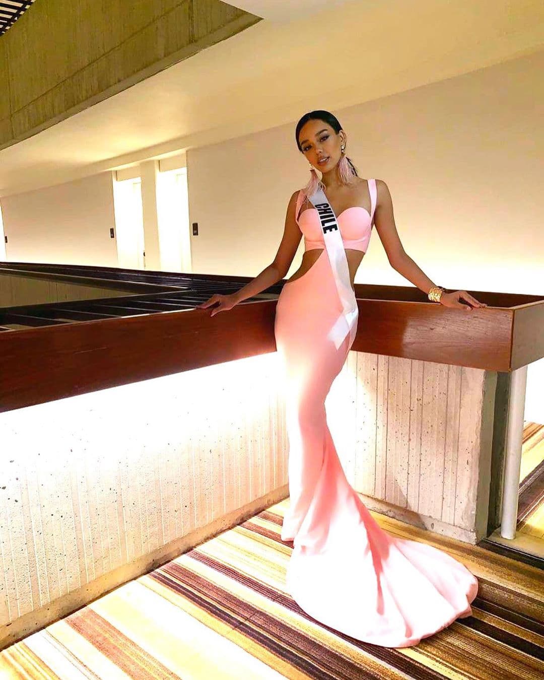 Un par de días antes del día del encuentro, la chilena de 21 años sufrió un gran susto cuando la cola del espectacular vestido rosa que llevaba puesto se quedó atorado en unas escaleras eléctricas.
<a href="https://www.instagram.com/p/B5l3so6Hzhp/" target="_blank">Aquí puedes ver el video</a>.