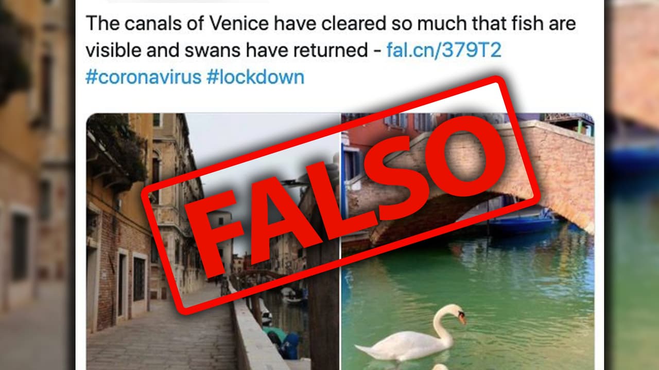 Estos pasos te ayudarán a reconocer una noticia falsa sobre el coronavirus en redes sociales