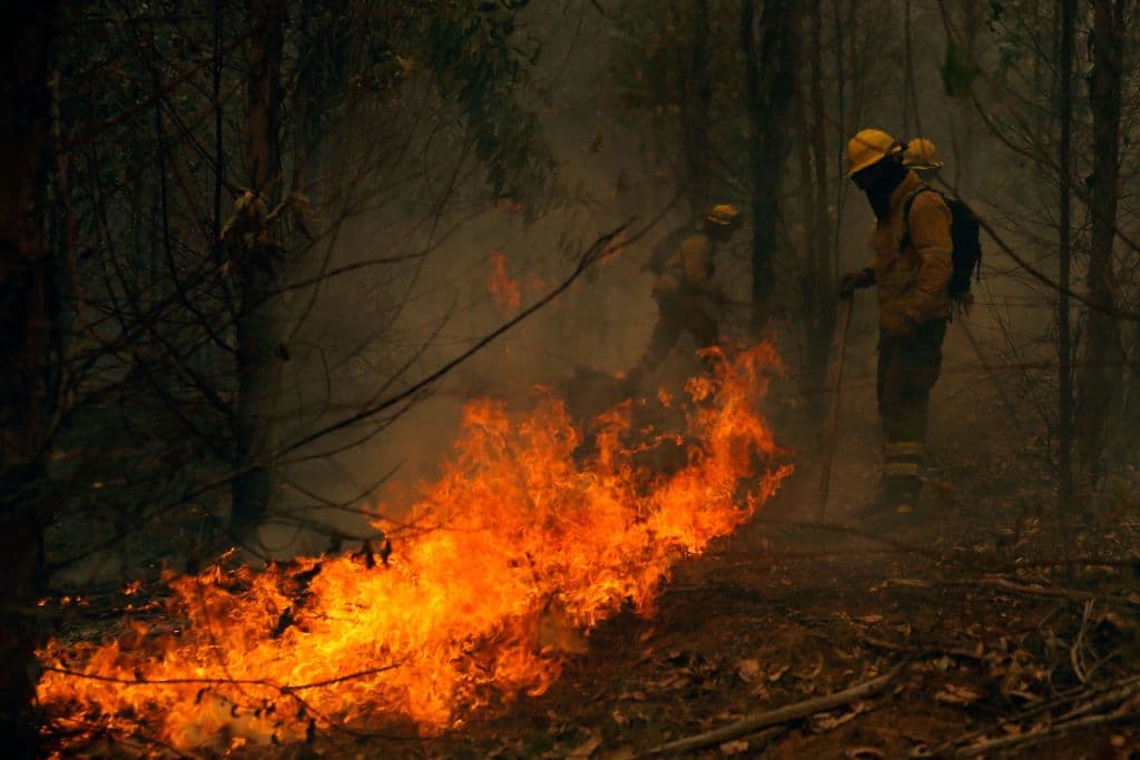 Monsalve explicó que de
<b>232 incendios activos el sábado</b>, 83 están combate. De esa cifra, 76 comenzaron el viernes, 16 el sábado.