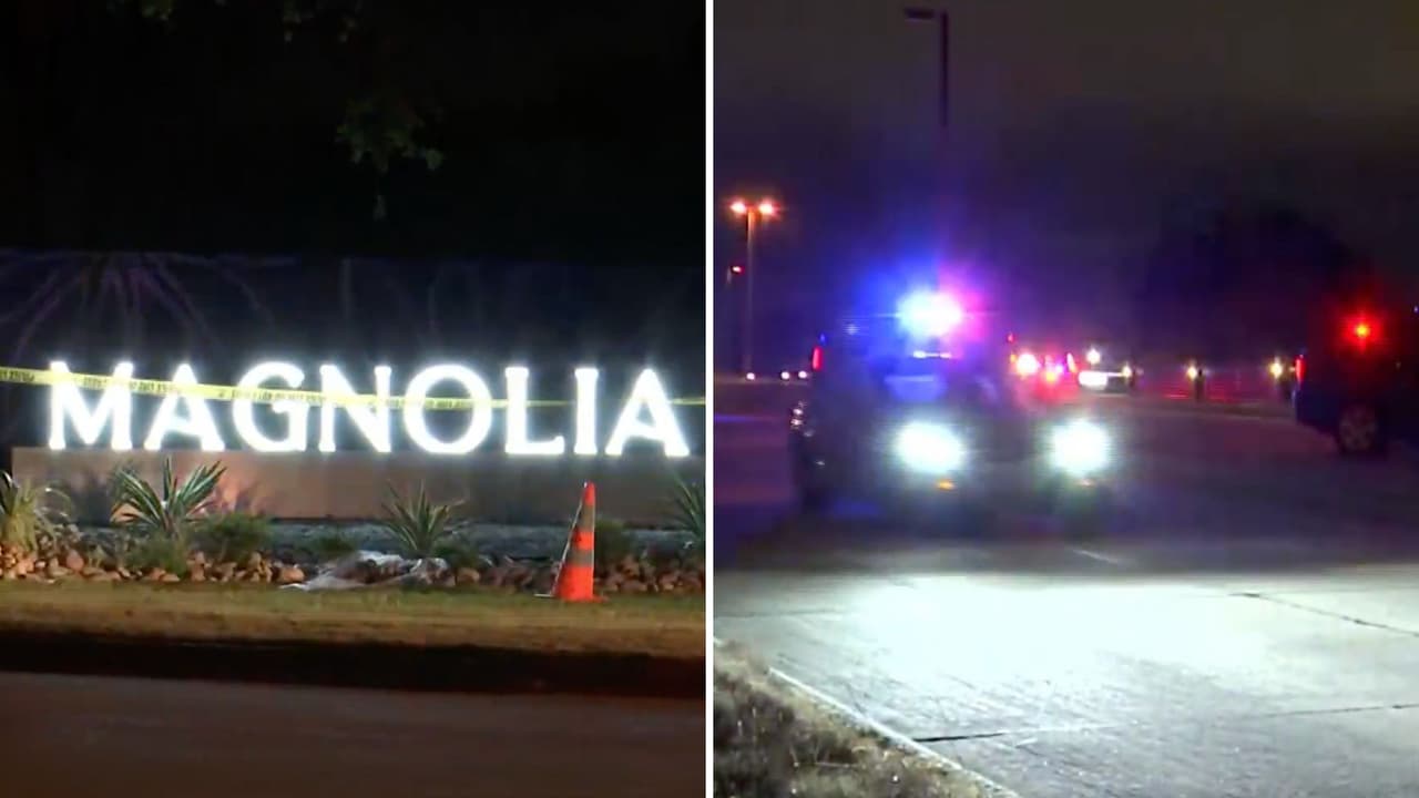 Muere sospechoso tras amenazar a su mamá con un hacha en McKinney