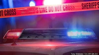 Municipio de Ceiba abre convocatoria para buscar policías municipales